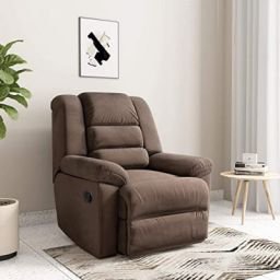 Solimo Musca Recliner Image